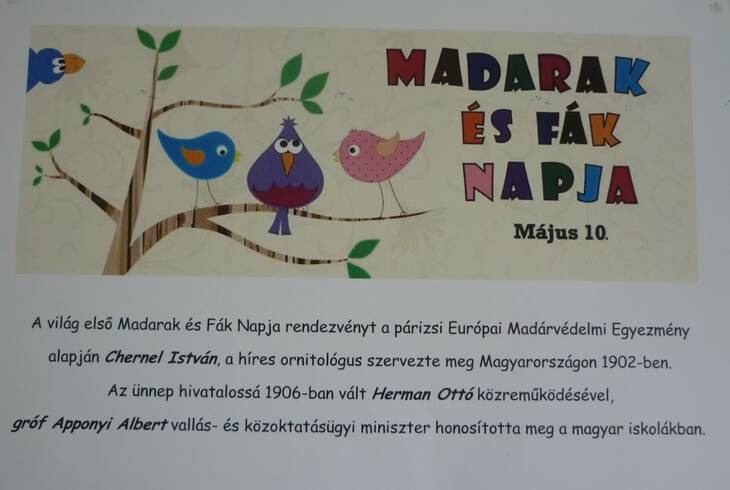 Madarak s fk napja Mihld 2016
